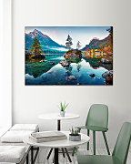 Obraz Labutie jazero 1961